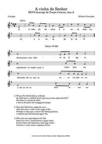 Pré-visualização da pauta