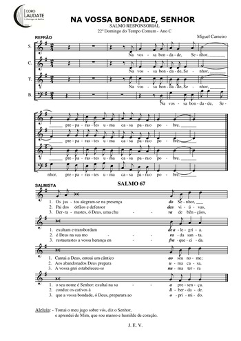 Pré-visualização da pauta