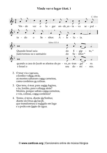 Pré-visualização da pauta